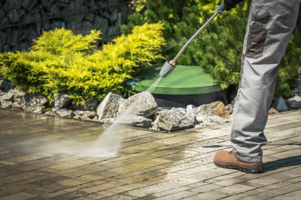 Boat and Dock Cleaning in East Highland Park, VA